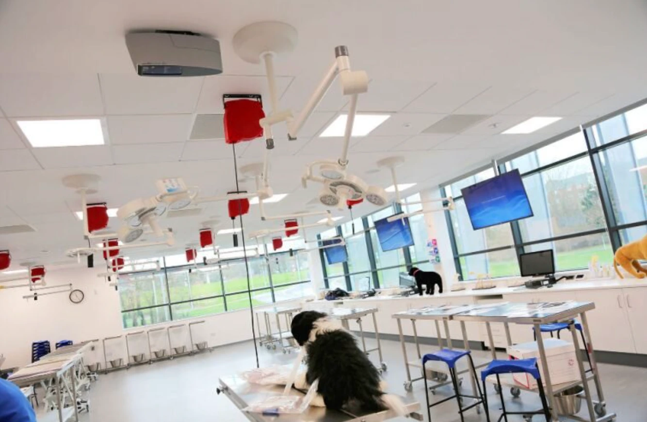 University of Surrey