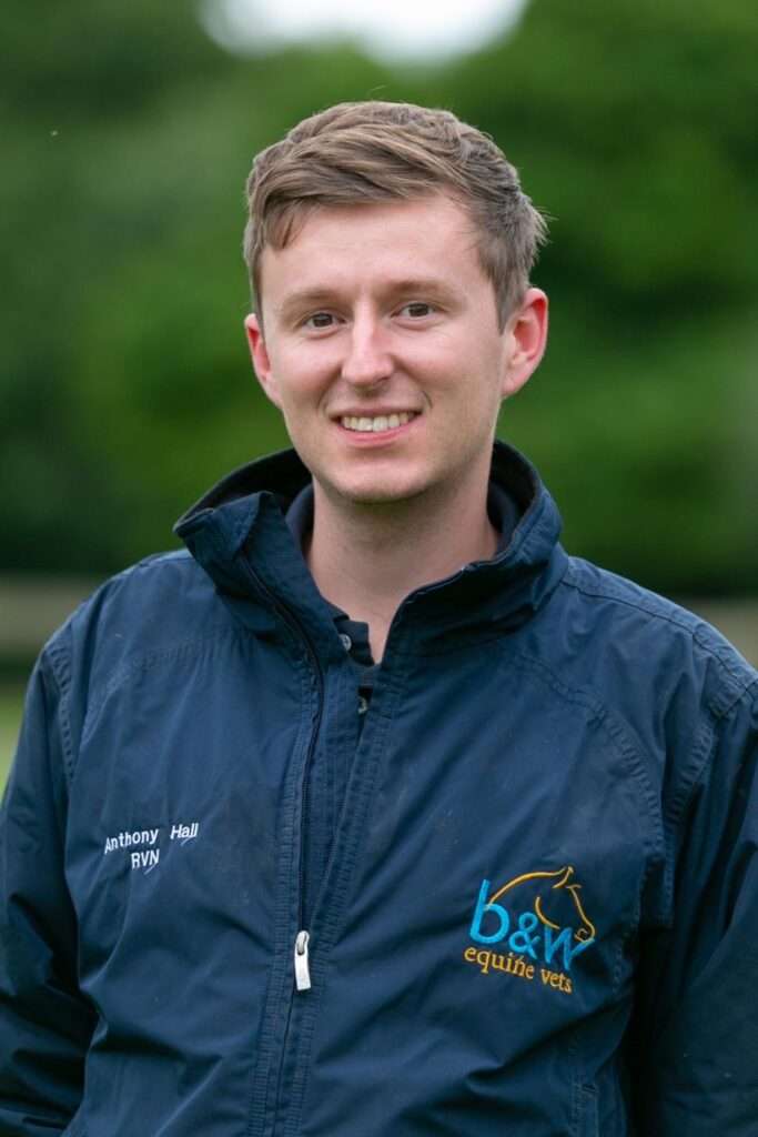 Equine nursing imager - Anthony Hall