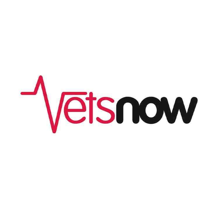 vsgd-Partner-VetsNow