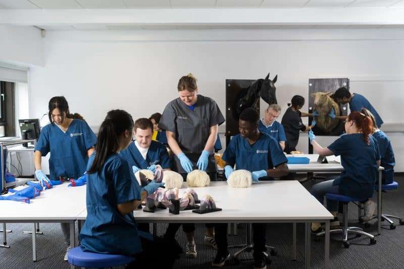 Classroom of UCLan's School of Veterinary Medicine